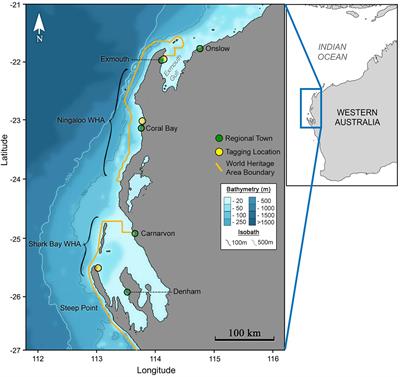 Satellite Tagging and Photographic Identification Reveal Connectivity Between Two UNESCO World Heritage Areas for Reef Manta Rays